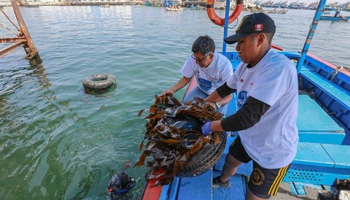 Se recolectó 1.7 toneladas de residuos sólidos en limpieza de fondo de mar en el DPA Ilo