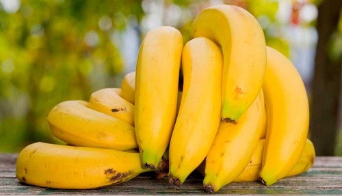 Los plátanos se beneficiaron del cambio climático en los últimos 60 años