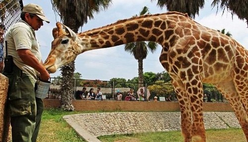 ¿Sórdidas leyendas en el Parque de Las Leyendas?