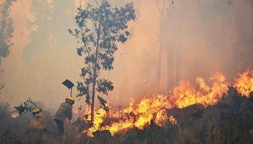 Los incendios forestales en Bolivia han consumido dos millones de hectáreas desde agosto