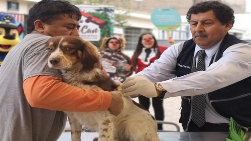 Minsa realizará Campaña Antirrábica Canina VAN CAN en 17 regiones del país