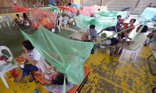 Filipinas: el peor brote de dengue en años mata a más de mil