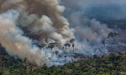 Austria rechaza el acuerdo comercial entre la UE y el Mercosur por incendios en la Amazonía