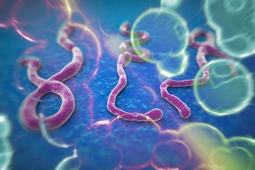 Japón importa el ébola y otros virus mortales en preparación para los Juegos Olímpicos de 2020