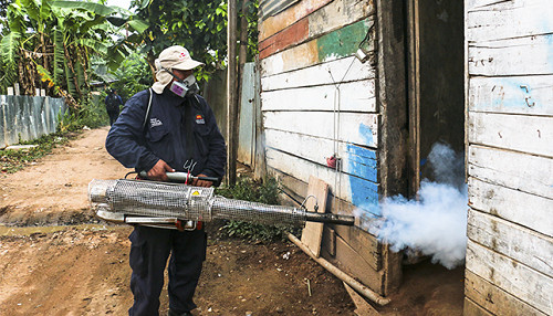 Madre de Dios: Minsa y Diresa han fumigado más de once mil viviendas para eliminar el zancudo del dengue