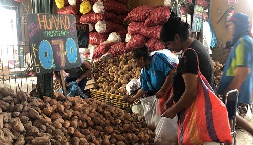 Alimentos de temporada alternativos para la preparación de comidas