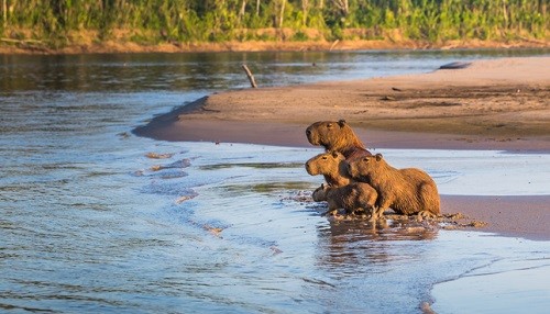 Naturaleza y conservación: el turismo que conecta con el entorno