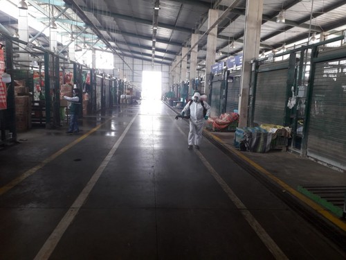 Municipalidad de Lima y Senasa realizaron desinfección del Gran Mercado Mayorista de Lima