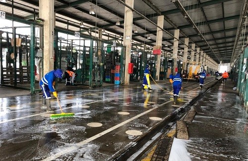Municipalidad De Lima refuerza las tareas de limpieza en los pabellones del Gran Mercado Mayorista De Lima