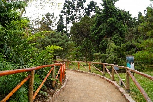 Jardín Botánico del Parque de Las Leyendas reabre sus puertas