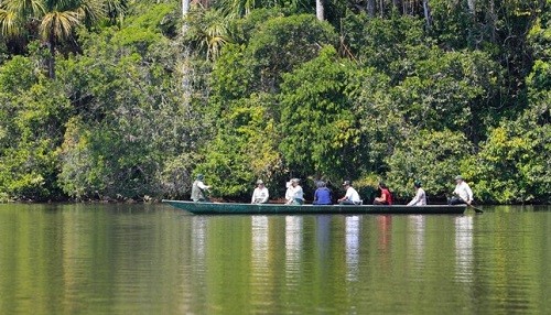 Más del 95 % del territorio de Reserva Nacional Tambopata está en buen estado de conservación