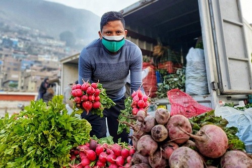 Mercado Mayorista Móvil de la MML está de vuelta y llegará este viernes 30 a Villa El Salvador