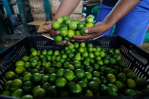 Municipalidad de Lima garantiza normal abastecimiento de productos en el Gran Mercado Mayorista De Lima