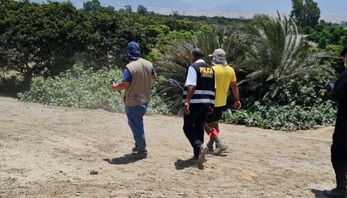 Ministerio de Cultura impidió huaqueo en zona arqueológica monumental Huaca Malena