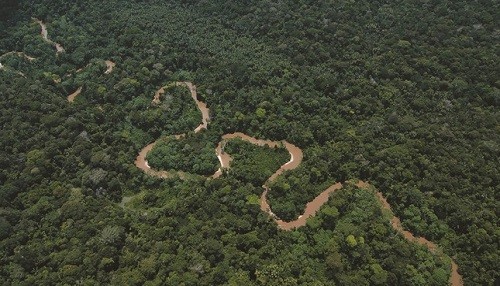 Los ministros de medio ambiente de América Latina y el Caribe se comprometen con una recuperación verde e inclusiva