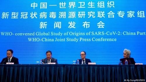 OMS: virus SARS-Cov-2 tiene un origen animal