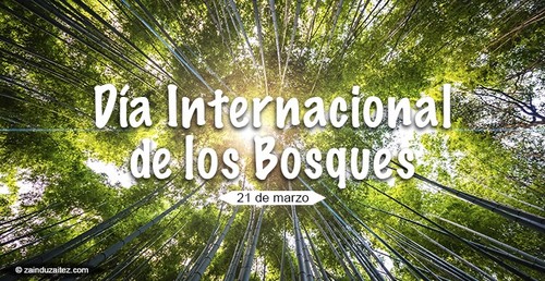 Día Internacional de los Bosques