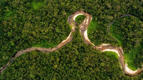 La naturaleza está de regreso: conoce los beneficios de los bosques para el Perú