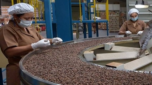 Café orgánico: Productores peruanos organizados exportaron más de 67 mil toneladas durante el 2020 por un valor que supera los U$$ 215