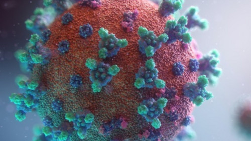 Coronavirus: Minsa confirmó el primer caso de la variante Delta en Lima