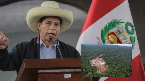 Pedro Castillo: 'Nos vamos a comprar el pleito para recuperar el gas de Camisea para todos los peruanos'