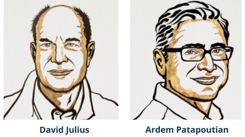 Premio Nobel de Medicina 2021 para David Julius y Ardem Patapoutian por los receptores de la temperatura y el tacto