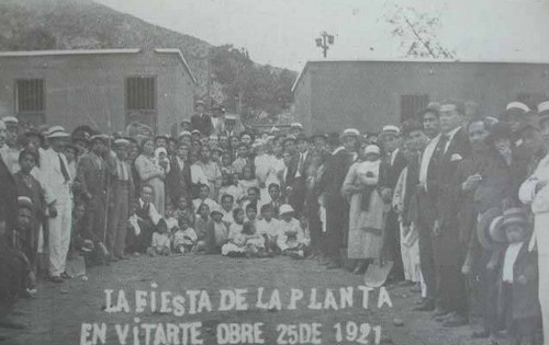 Los 100 años del Día de la Planta