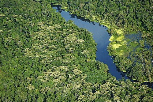 Gobierno reconoce la segunda Área de Conservación Privada en la región Ucayali 'Campo Verde'