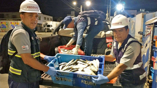 Produce decomisó más de 4 toneladas de recursos hidrobiológicos provenientes de la pesca ilegal