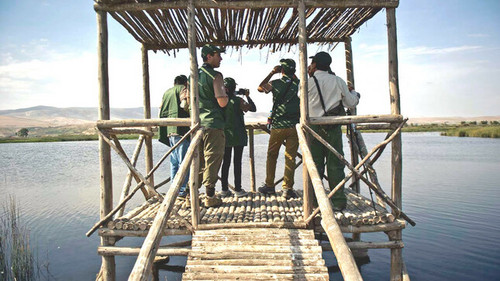 Este 13 de mayo el Perú vivirá el Global Big Day, el torneo mundial más importante de observación de aves