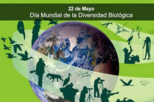 Día Internacional de la Diversidad Biológica