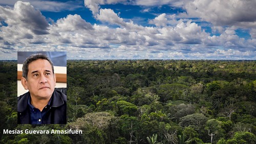 Perú, país forestal