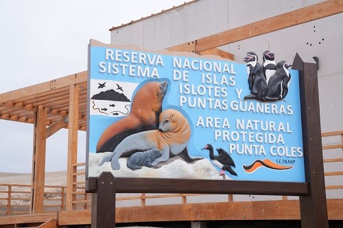 Inauguración de nuevo puesto de control en Punta Coles dinamizará conservación de biodiversidad y desarrollo sostenible de Ilo