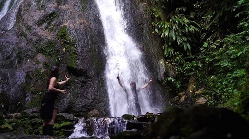 Parque Nacional Tingo María: Primer destino peruano con certificación internacional oro en turismo sostenible