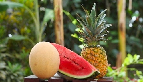 Conozca que frutas te mantienen saludable durante el verano
