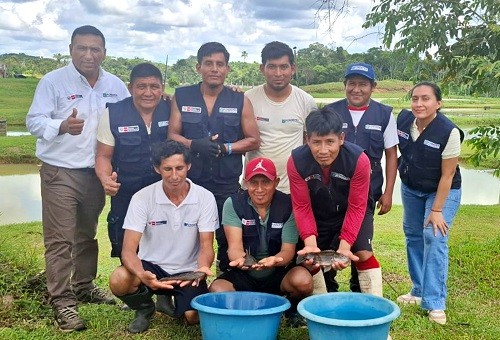 PRODUCE impulsa la diversidad acuícola en la Amazonía y avanza en el cultivo de carachama y acarahuazú