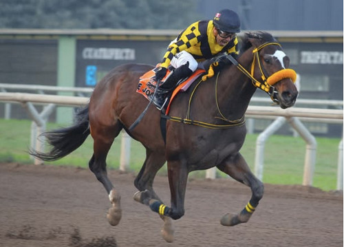 Conoce quiénes son los jinetes y caballos pura sangre que disputarán el Derby Nacional 2025 este domingo 23 de noviembre