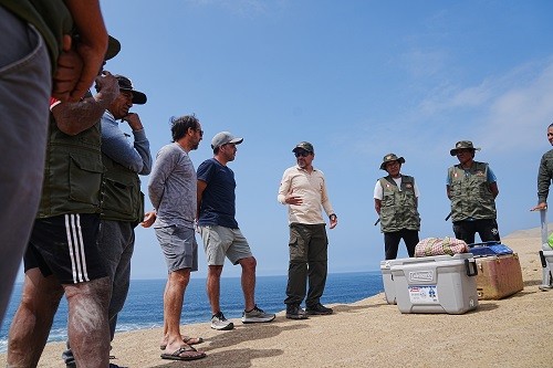 Sin intermediarios: La alianza entre chefs top del Perú y pescadores de Paracas que redefine la rentabilidad de la gastronomía sostenible