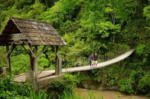 Turistas deberán vacunarse antes de ingresar a la selva central peruana