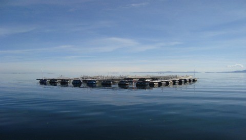 Directivos de IMARPE se reúnen con autoridad autónoma binacional del Lago Titicaca