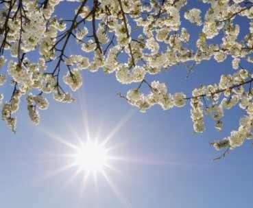La Primavera comenzó hoy en Perú