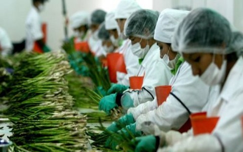 China fue el primer comprador de productos peruanos en el 2011
