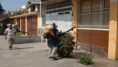 Fumigan casas en La Molina para combatir el dengue