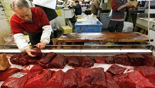 Japón quemará toda la carne radioactiva que tenga