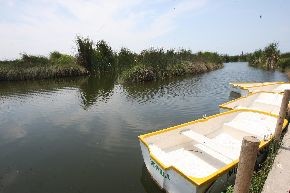 Camiones no pasarán por Pantanos de Villa