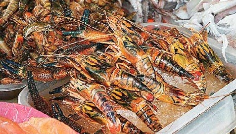 Decomisan más de 800 kilos de camarón en Arequipa