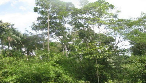 Récord histórico: más de un millón de personas visitaron las Áreas Naturales Protegidas durante el 2011