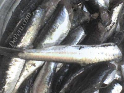 Pescado, producto de consumo masivo: Se necesita más que una campaña de Semana Santa