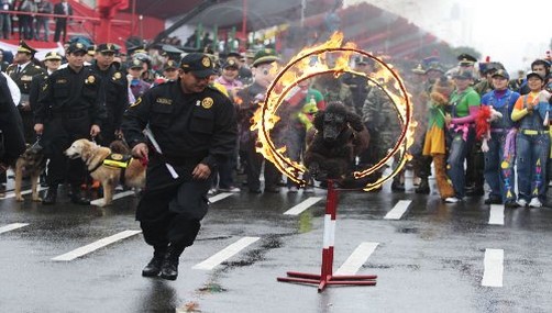 PNP exhibe detalles de unidades que participarán en Parada Militar