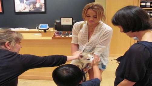 Miley Cyrus, Liam Hemsworth y Floyd en Michigan